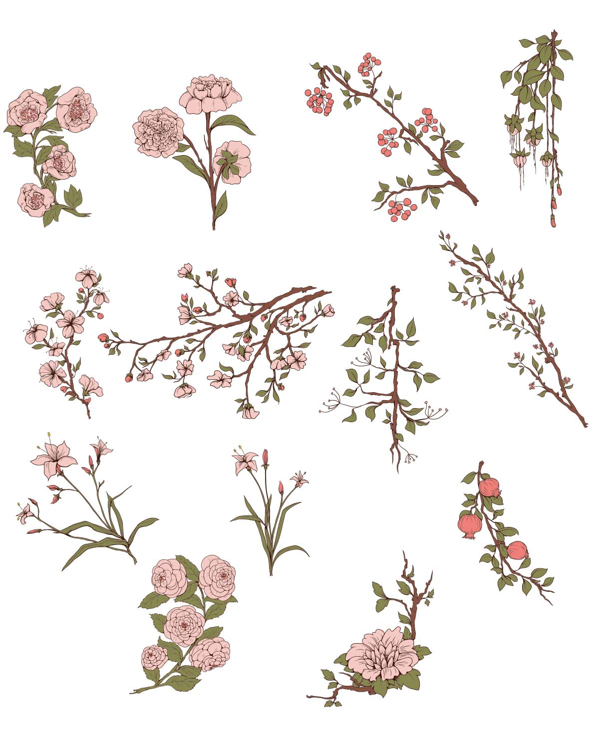 Japanese sakura flowers set vector | Free download