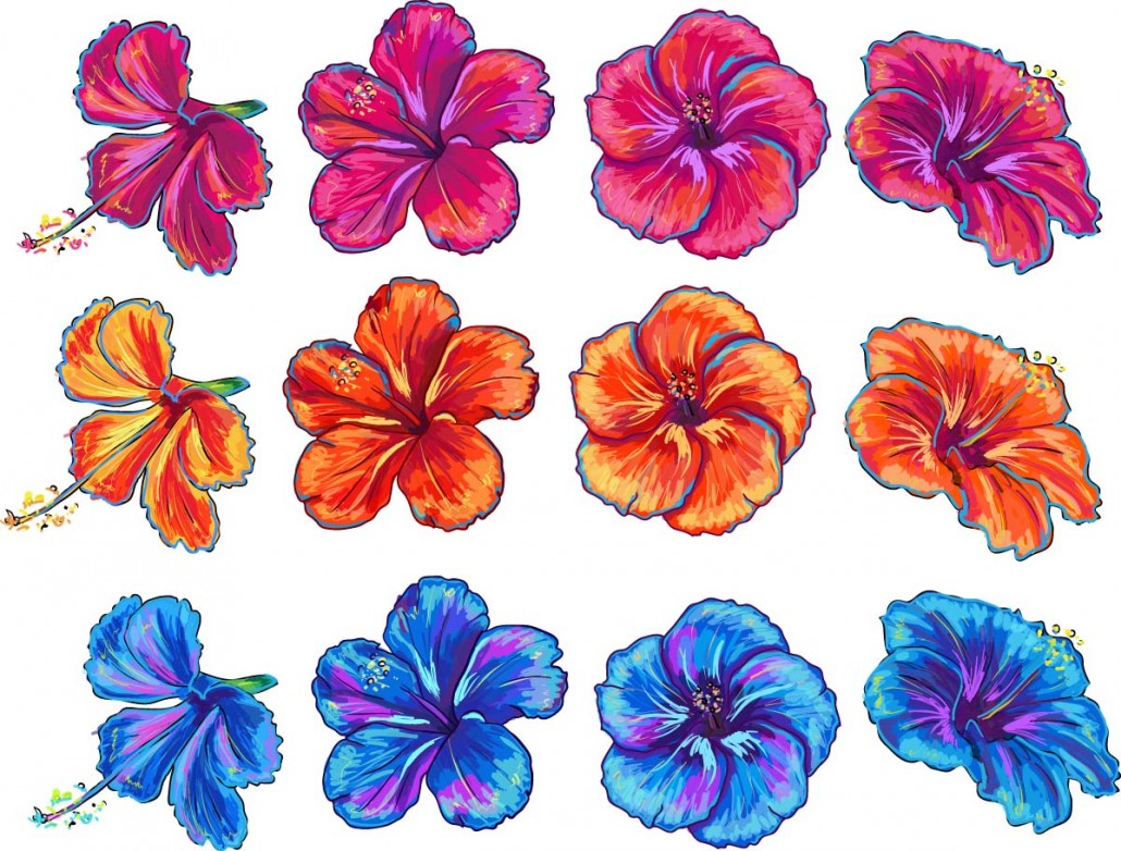 Hibiscus Floral Hand Drawn Vector Set Free Download