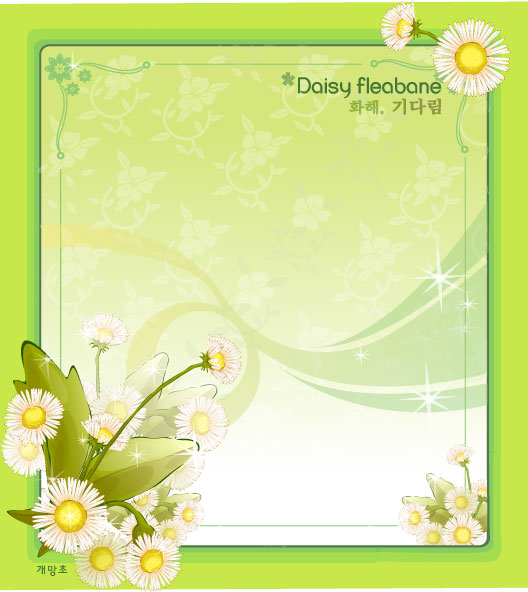 Daisy fleabane flower frame vector | Free download