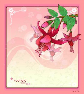 Fuchsia flower frame vector