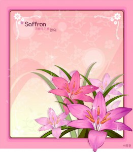 Saffron flower frame vector