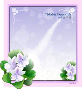 Water hyacinth floral frame vector