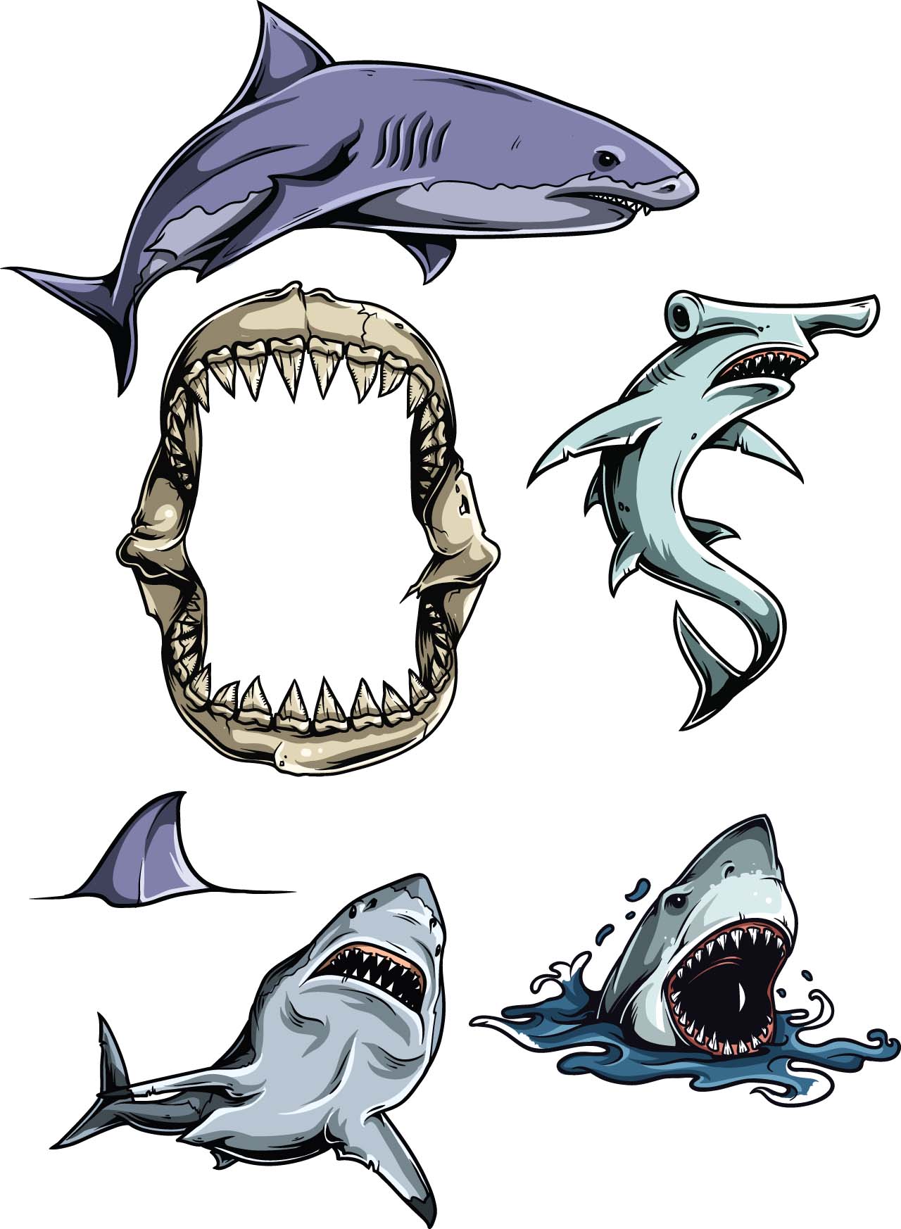 Different sharks for illustration vector