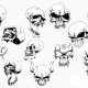 Skull illustration angry set vector