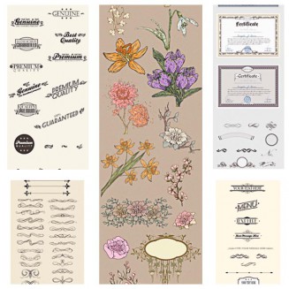 Calligraphic decorative elements flowers menu set vector