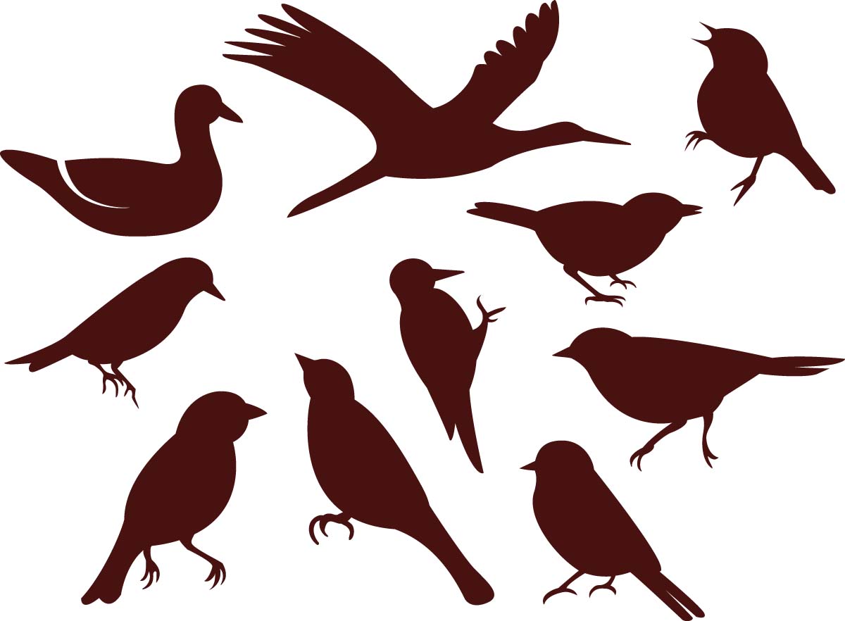 Bird silhouettes simple vector