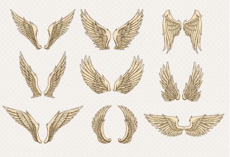 Decorative wings set vector
