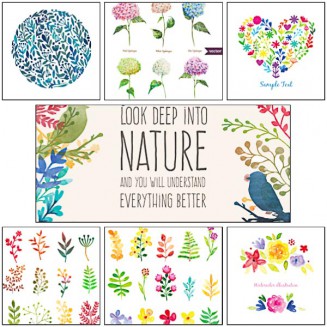 Hand painted watercolor herbs and nature elements set vector