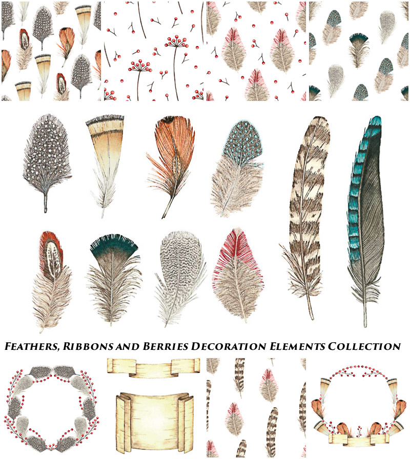 Ribbons and feather illustration vector collection
