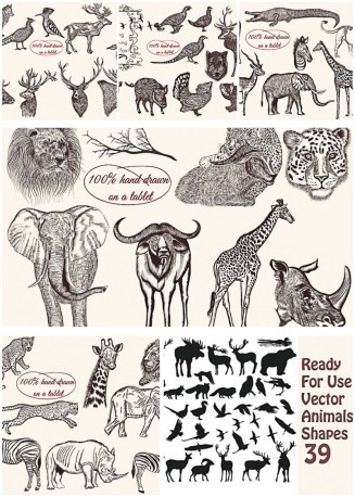 Wild animals hand drawn engraving vector pack