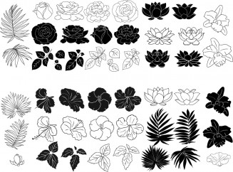Roses, hibiscus and lotus floral elements set vector