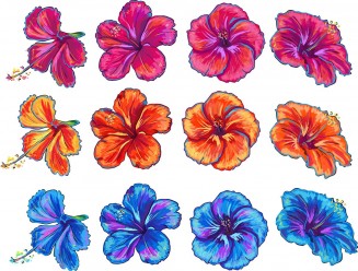 Floral elemets with hibiscus vector set