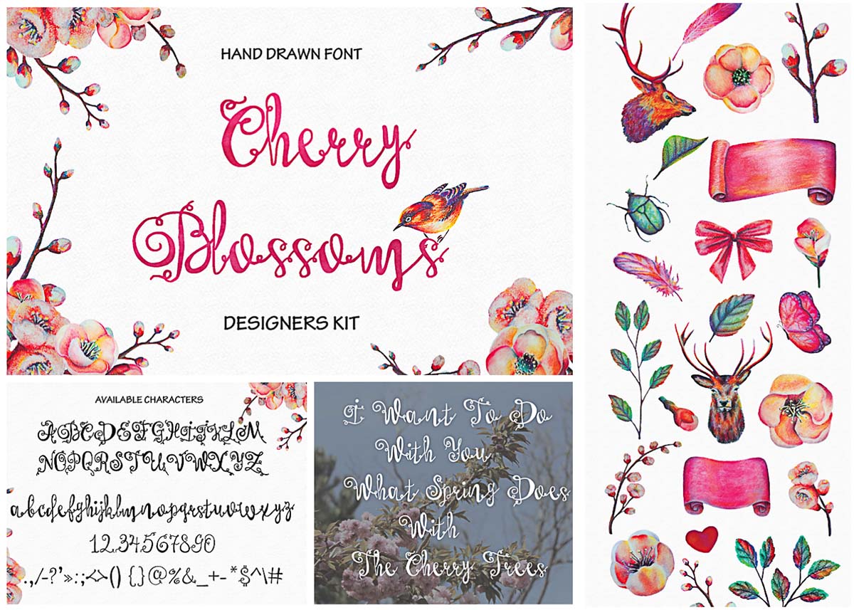 Cherry blossoms hand painted font set
