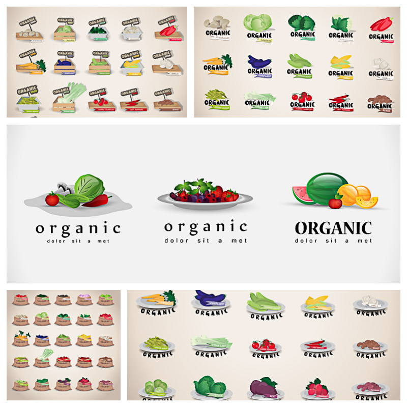 Eco fruits and vegetables vector collection