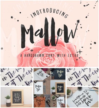 Mallow calligraphy font with extra
