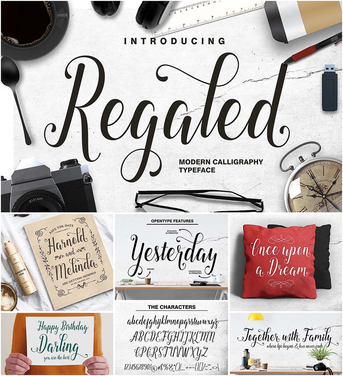 Regaled modern calligraphy typeface