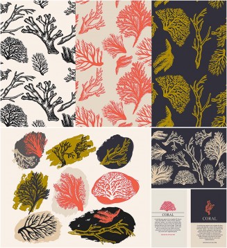 Coral and seaweed illustration vector set