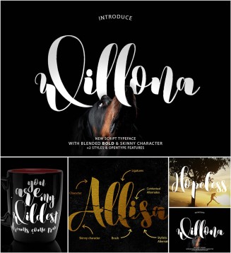 willona typeface with glyths