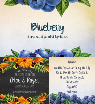 Blueberry hand drawn font