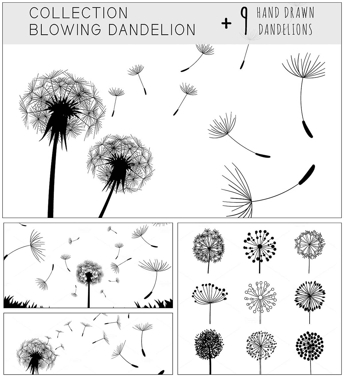 Blowing dandelion illustrations