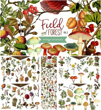 Field forest illustrations bundle