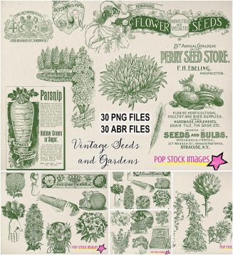 Garden plants and seeds vintage graphics set