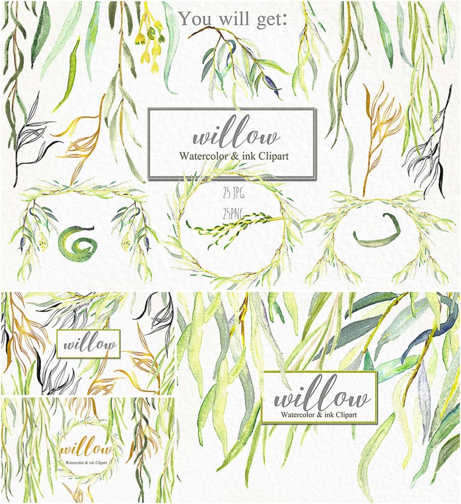 Watercolor willow branches set | Free download