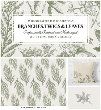 Vintage branches and leaves set
