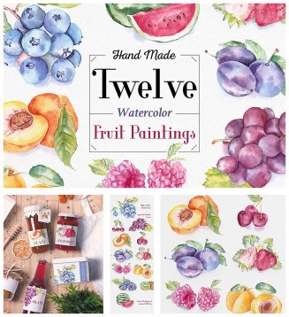 Fruit watercolor illustrations