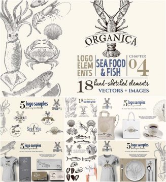 Hand sketched organic logo seafood
