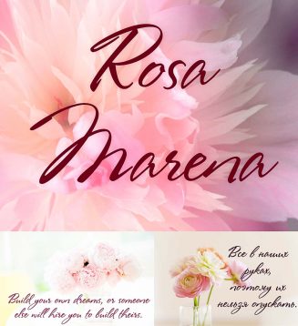 Rosa Marena script