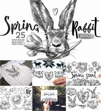 Spring rabbit illustration postcard