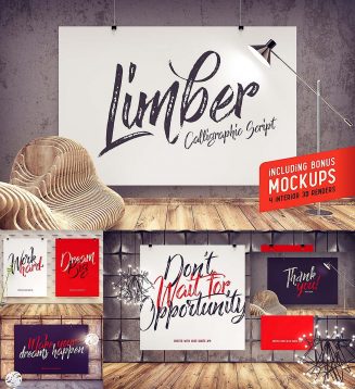 limber script with poster mockup