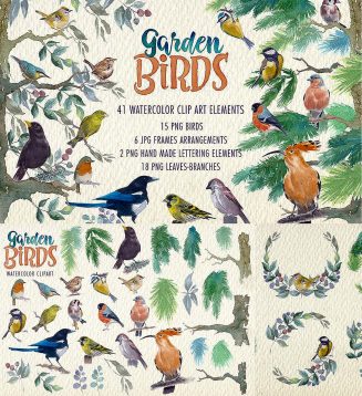 Garden birds watercolor clipart