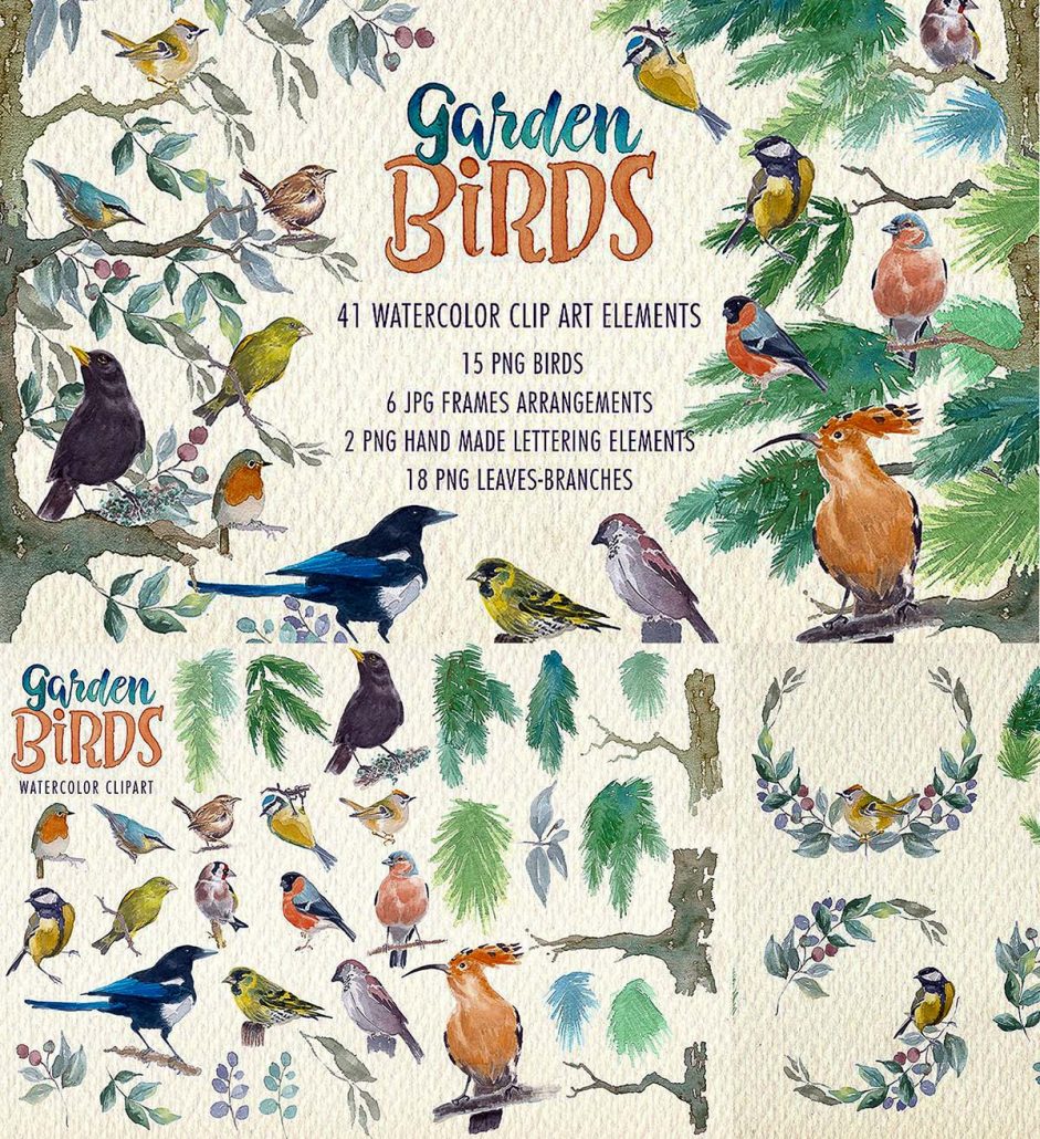 Garden birds clipart