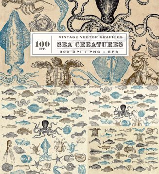 Antique sea creatures illustrations