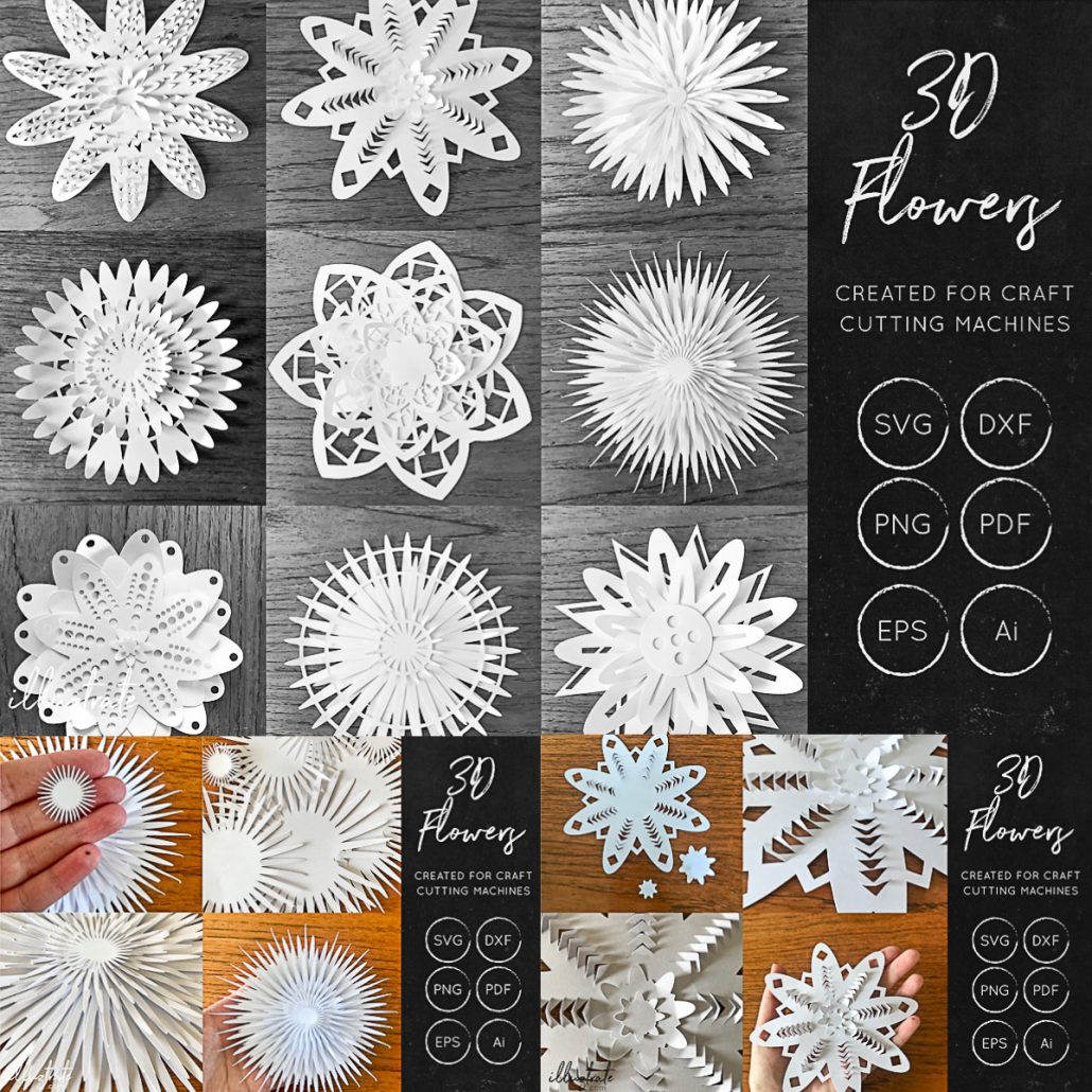 Download 3d Flower Svg Cut Files Free Download