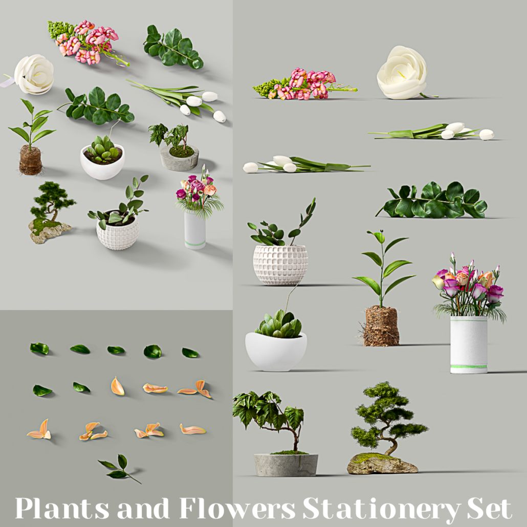 Download Plants and Flowers Stationery Mockup Set | Free download