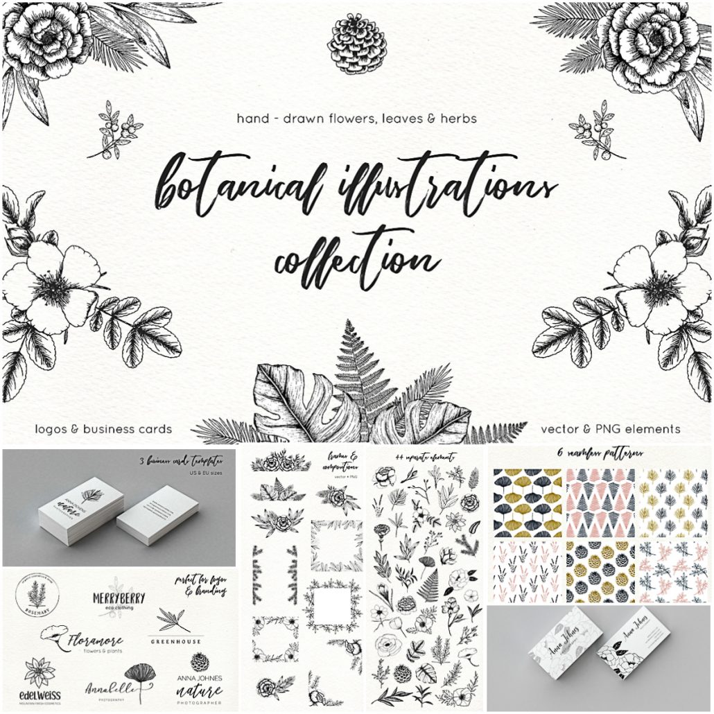 Botanical Illustrations Pack Free Download