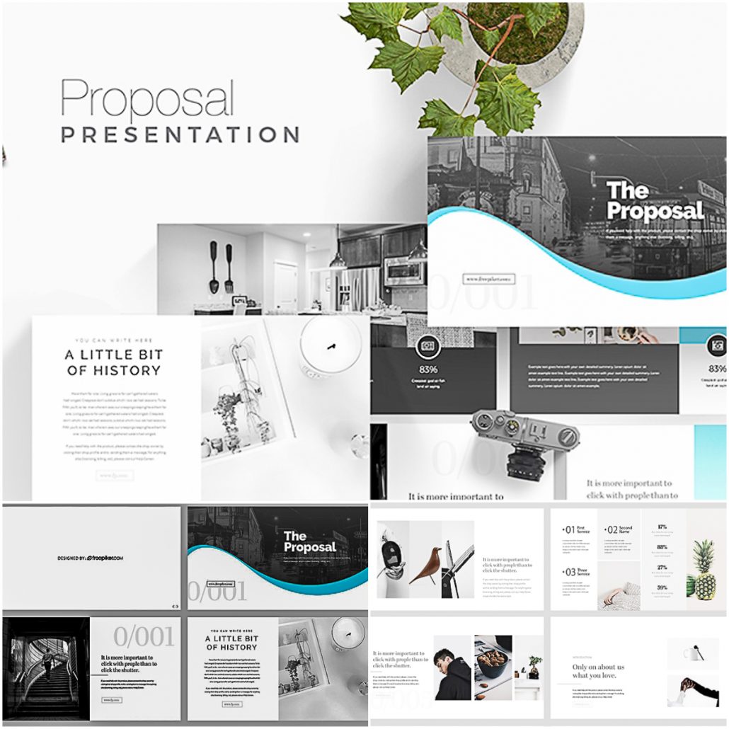 proposal presentation examples