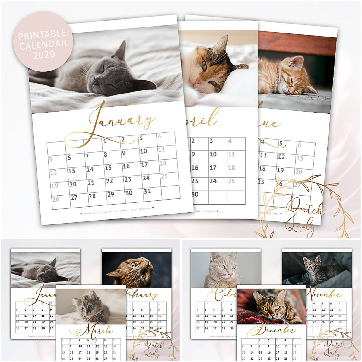 Printable Cat Calendar 2020 Free Download