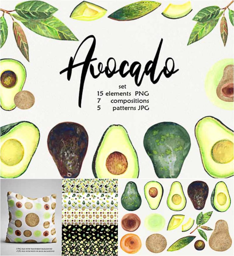 Watercolor Avocado Clip Art | Free download