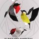 3D Birds Free Papercraft