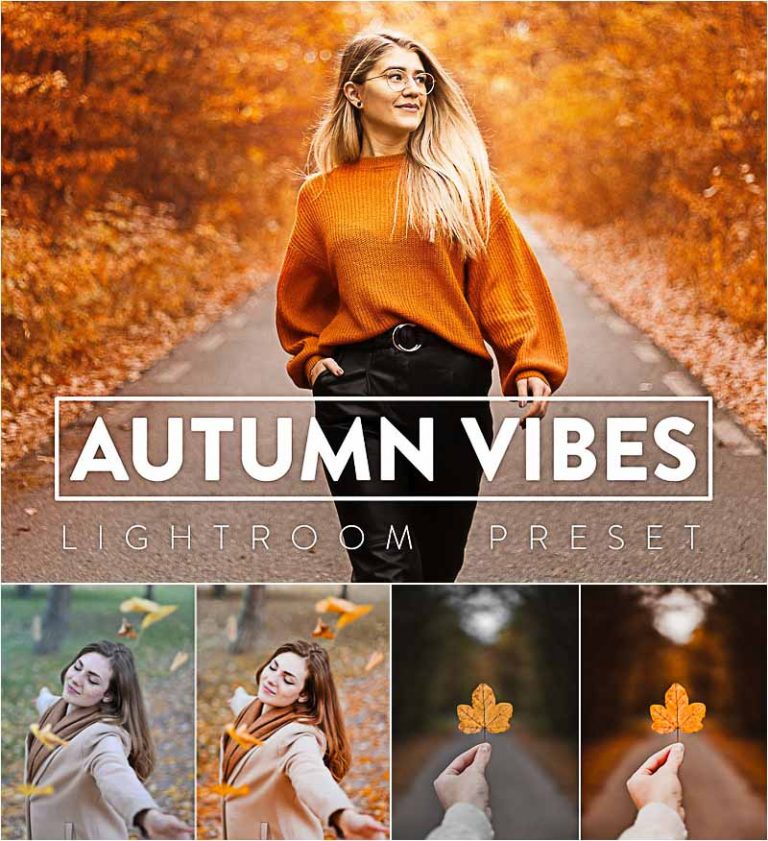Autumn Vibes Lightroom Preset Free download