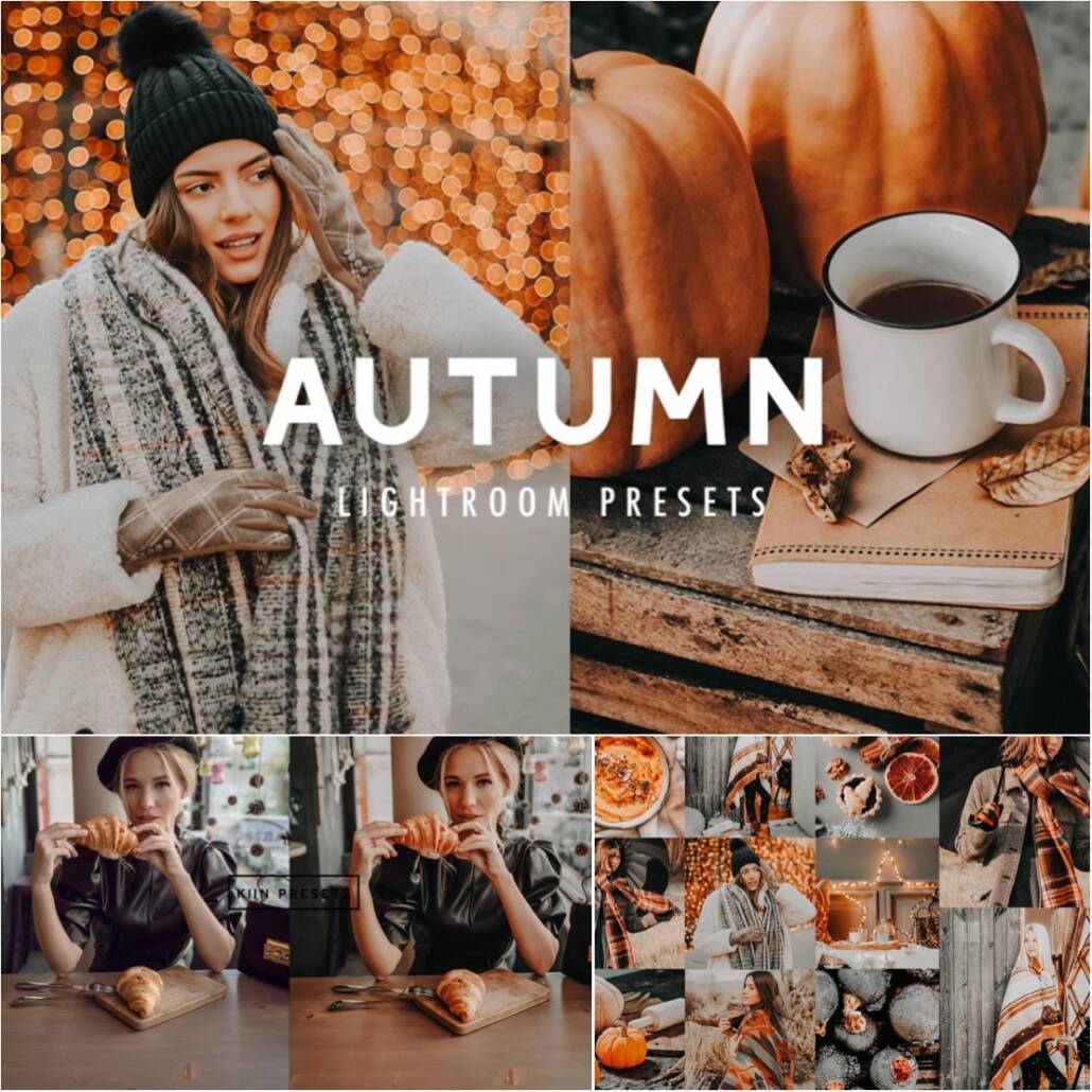 Autumn Lightroom Presets Free download