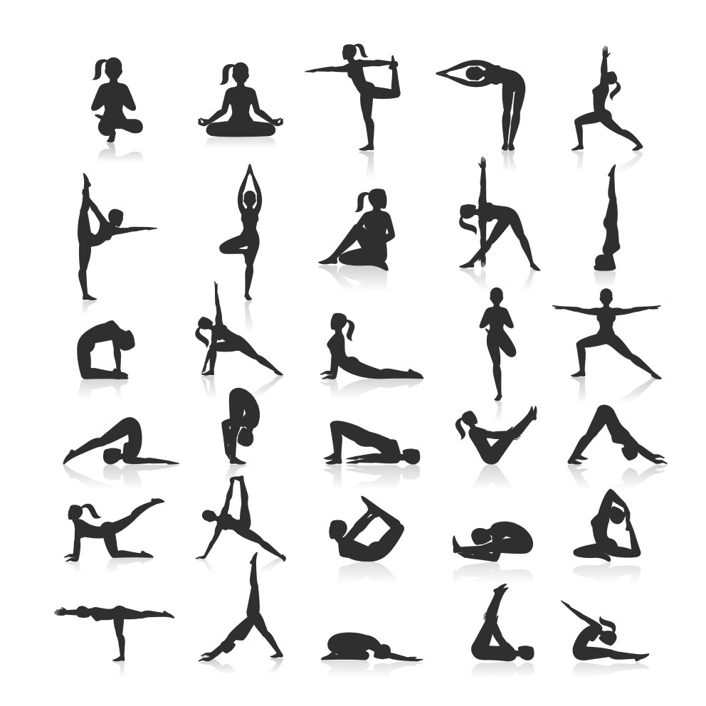 yoga poses vector