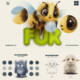 Multiapp Fur Brushes