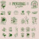 Pickleball Vector Graphic