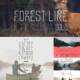 Forest line font