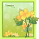 Celandine floral frame vector